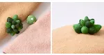 miniatures image - 1