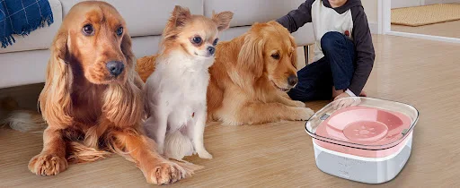 Title 6, Dog Water Bowl 2L No Spill Large Capacity Spill...