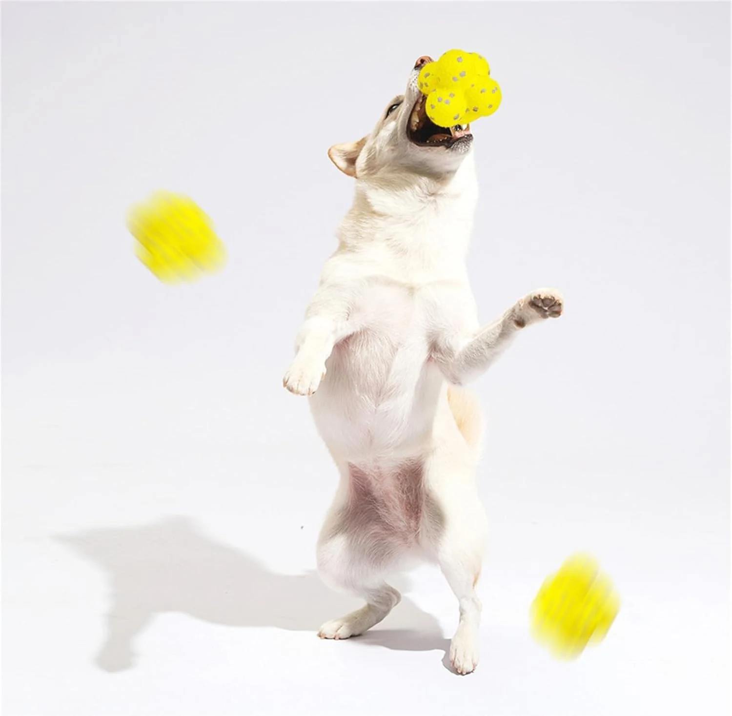 Mellow Dog Calming Ball Reduce canine anxiety. Tennis ball design for emotional support. Promotes relaxation and a calme — photo 4