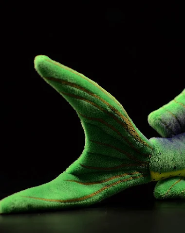 Image product - 3