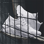 Basketbalschoenen voor topprestaties. Responsieve demping, uitstekende grip en ondersteuning voor snelle, krachtige bewegingen op het veld. — foto 12
