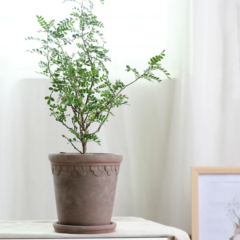Durable cement flower pot for plants, perfect for garden, balcony or indoor use. Adds a modern and long-lasting touch to — photo 2