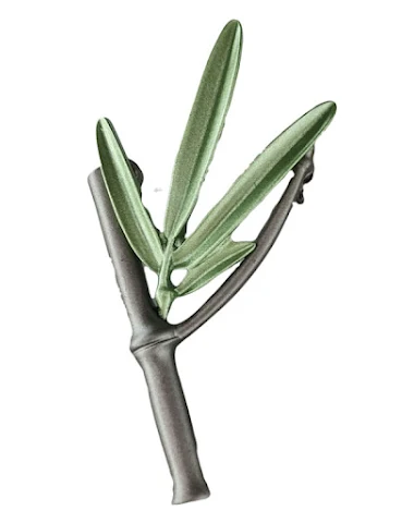 Image product - 2