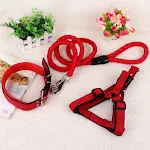 miniatures image - 0