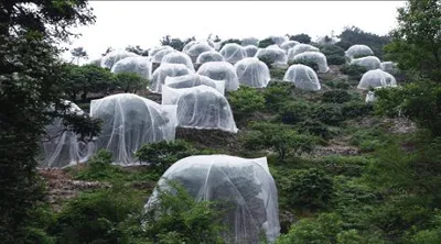 Title 2, Insect Net Fruit Tree Pest Control Plant Protec...