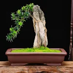 miniatures image - 6