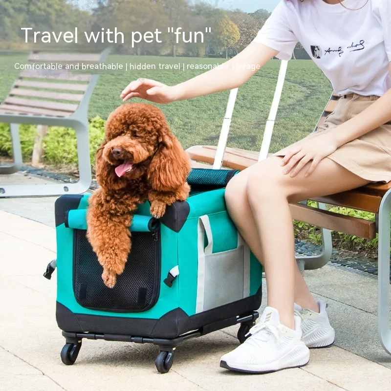 product image - 11