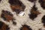 miniatures image - 5