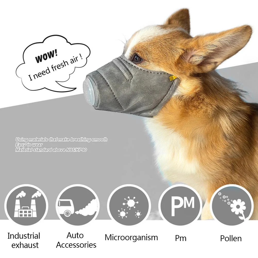 Title 9, 1PC Pet Puppy Potty Trainer Indoor Training Toi...