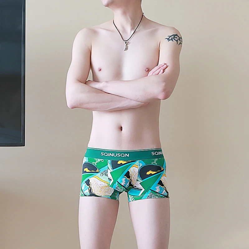 Title 5, Mens Breathable Thin Printed Boxer Briefs