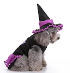 Unique Dog Spider Costume Turn your dog into a spooky spider for Halloween or parties. Perfect for funny photos and crea — photo 21