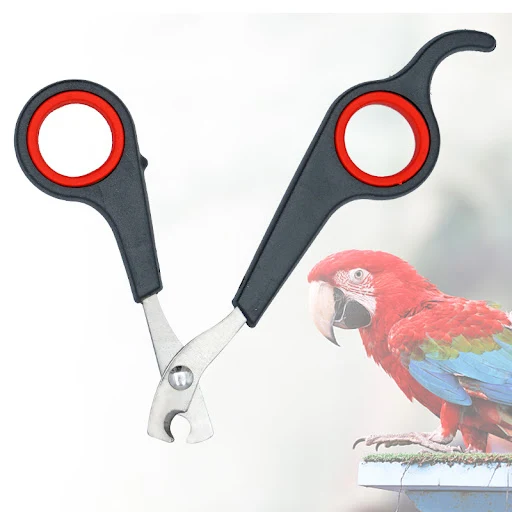 Pet Bird Parrot Small Animals Accessory Grooming Tool Nail Scissors Clipper Black And Red — photo 3