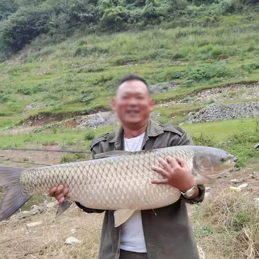 Title 2, Kit de pesca estilo europeu com fio de núcleo d...