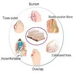 miniatures image - 1