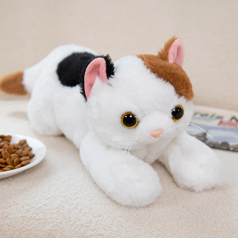 product image - 6