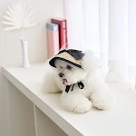 miniatures image - 2