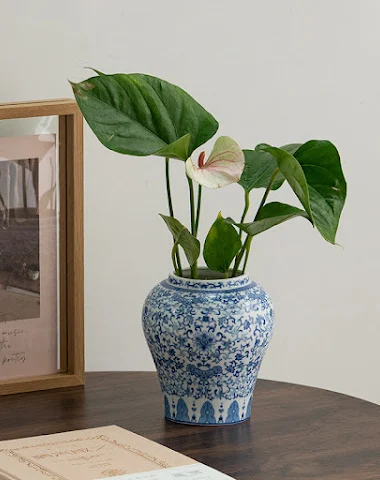 Image product - 3