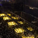 miniatures image - 6