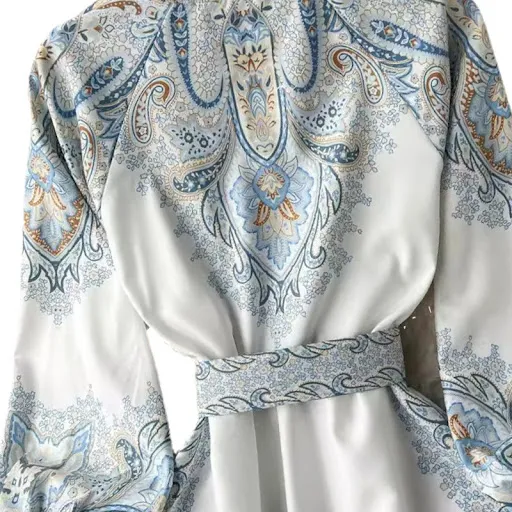 Title 2, Style Lapel Lantern Sleeve Printed Dress Women