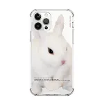 Little White Rabbit