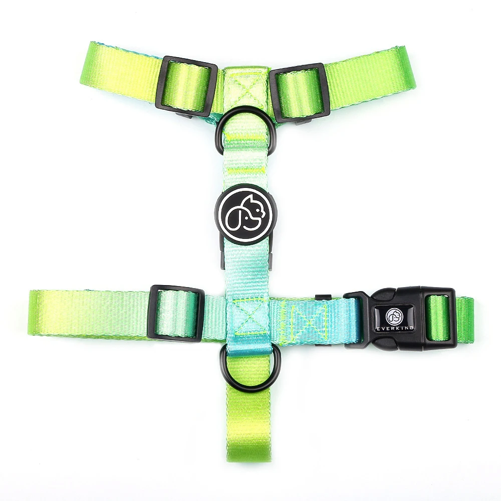 Title 3, Pet Leash for Small and Medium Dogs. Provides a...