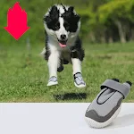 Wear resistant and breathable big dog shoes Protect your dog's paws with these durable and comfortable shoes, perfect fo — photo 4