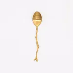 Spoon