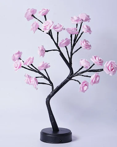 Image product - 1