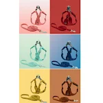 miniatures image - 14