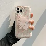 Raspberry rabbit bracket
