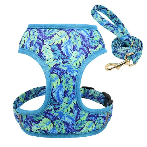 Title 5, Dog Leash Puppy Rope Shiba Inu Pomeranian Breas...