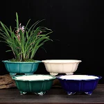 miniatures image - 8