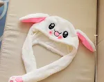 8 rabbits