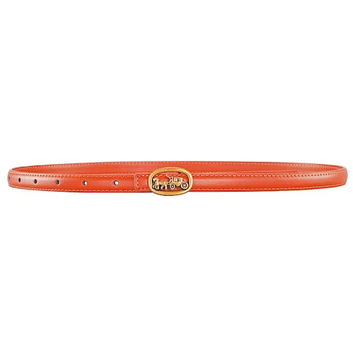 Title 3, Fashionable and Versatile Vintage Belt