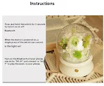 miniatures image - 11