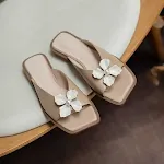 Apricot