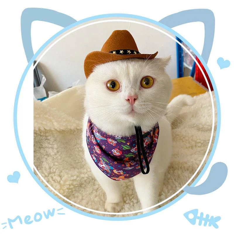 Title 4, Stylish Pets Cat Cowboy Hat Star Hats for Cats ...