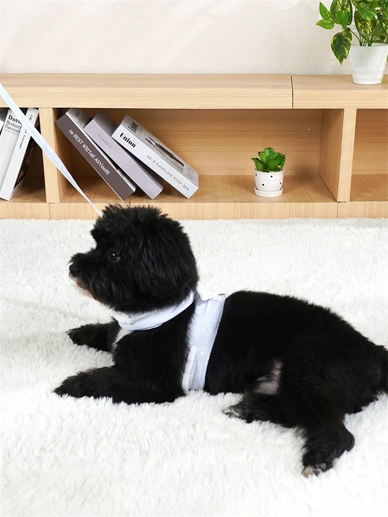 Title 6, Cat Dog Harness Necklace Leash Collar Pet Items...