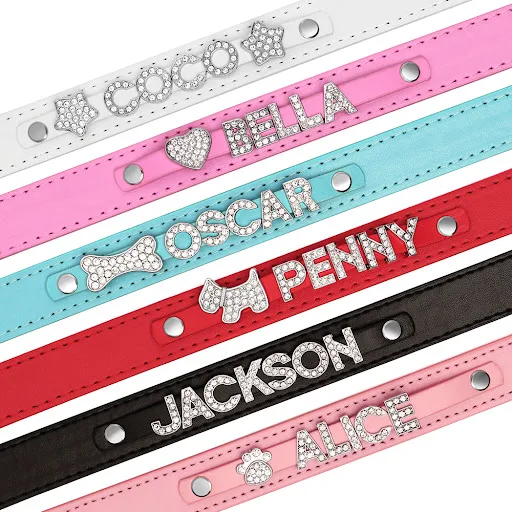 Personalized Leather Dog Puppy Collar Leash Set Bling Rhinestone Free Name Charms Collars For Small Medium Dogs Custom N — photo 6