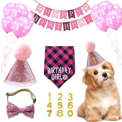 Pet Birthday Set with Golden Sequins Hat Bandana Birthday Party Banner Decoration Bow Tie Cat Dog Festive Party Accessor — photo 2