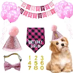 Pet Birthday Set with Golden Sequins Hat Bandana Birthday Party Banner Decoration Bow Tie Cat Dog Festive Party Accessor — photo 2