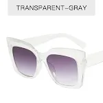 Transparent frame double grey