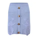 Blue Skirt