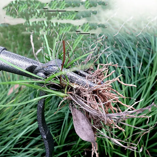 Title 5, Carbon Steel Garden Weeding and Rooting Machine...