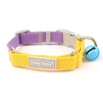 Yellow purple