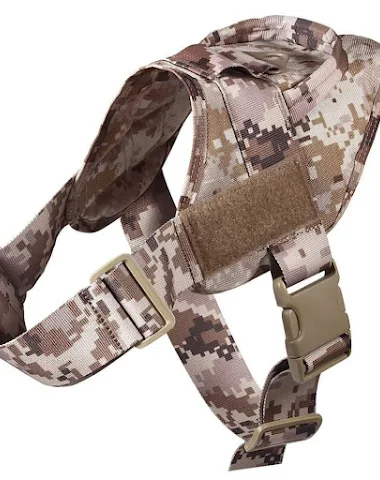 Image product - 2