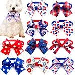 dog collar -B