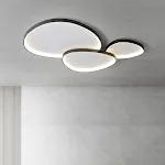 Black neutral light