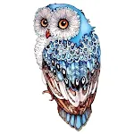 Blue Owl A5