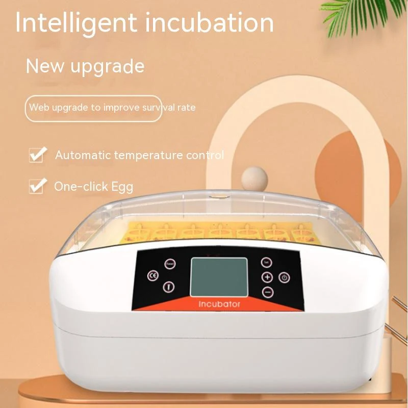 product image - 5